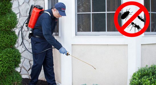 Kargı Uçan Haşere İlaçlama böcek ilaçlama ve haşere kontrolü — ilaclama-tr.com